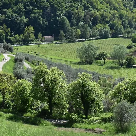 Lovi Bassano del Grappa